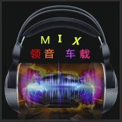 领音车载《高清甜美女声情感电台连版车载》DJ阿顺Mix