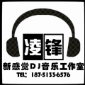 dj凌锋-档次中文精品house串烧-2新版版权