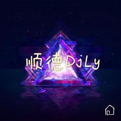 顺德DjLy-全中文Electro音乐打造几许风雨深深深串烧