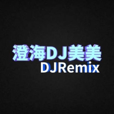 澄海DJ美美-Remix2022天籁之音草原歌曲男女对唱(草原之夜)试音碟串烧