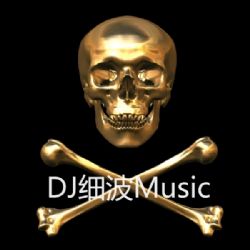 dj细波-夜店热播电音house音乐精华版